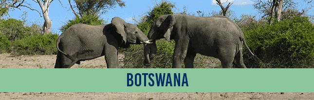 banner_botswana