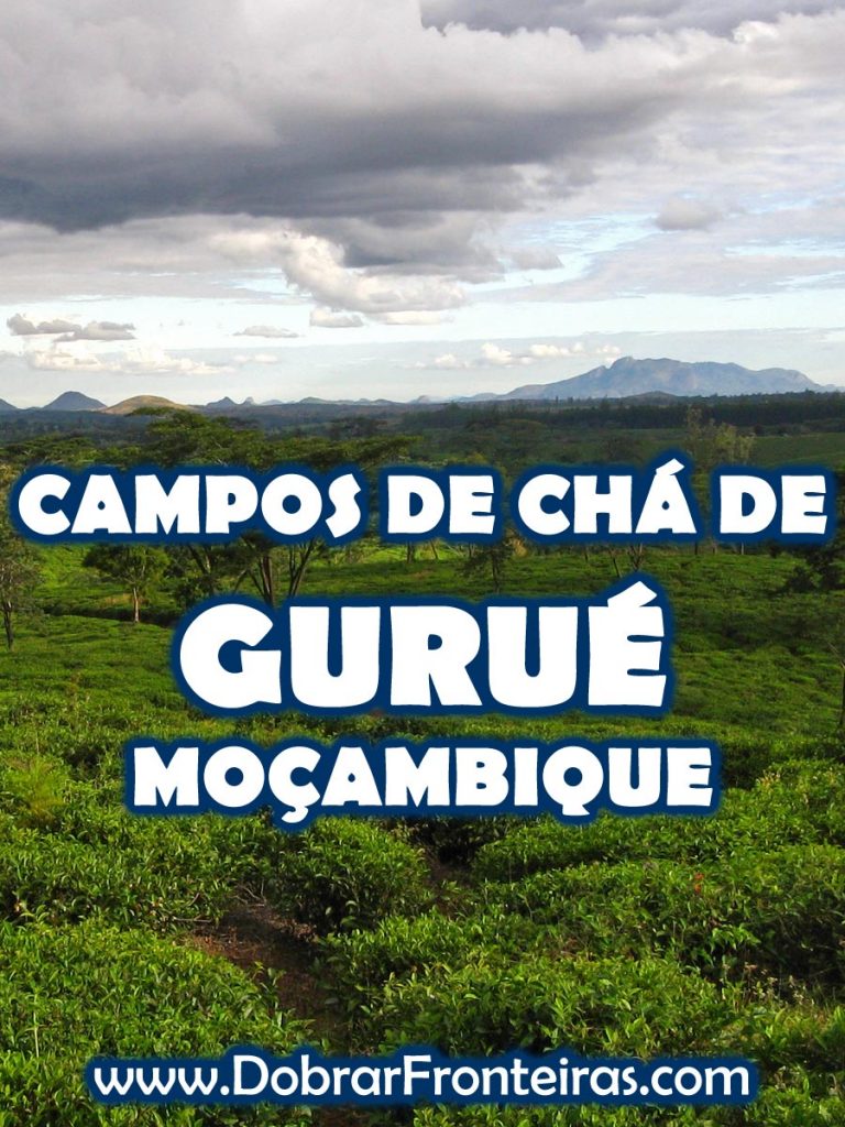 Campos de chá de Gurué, Moçambique