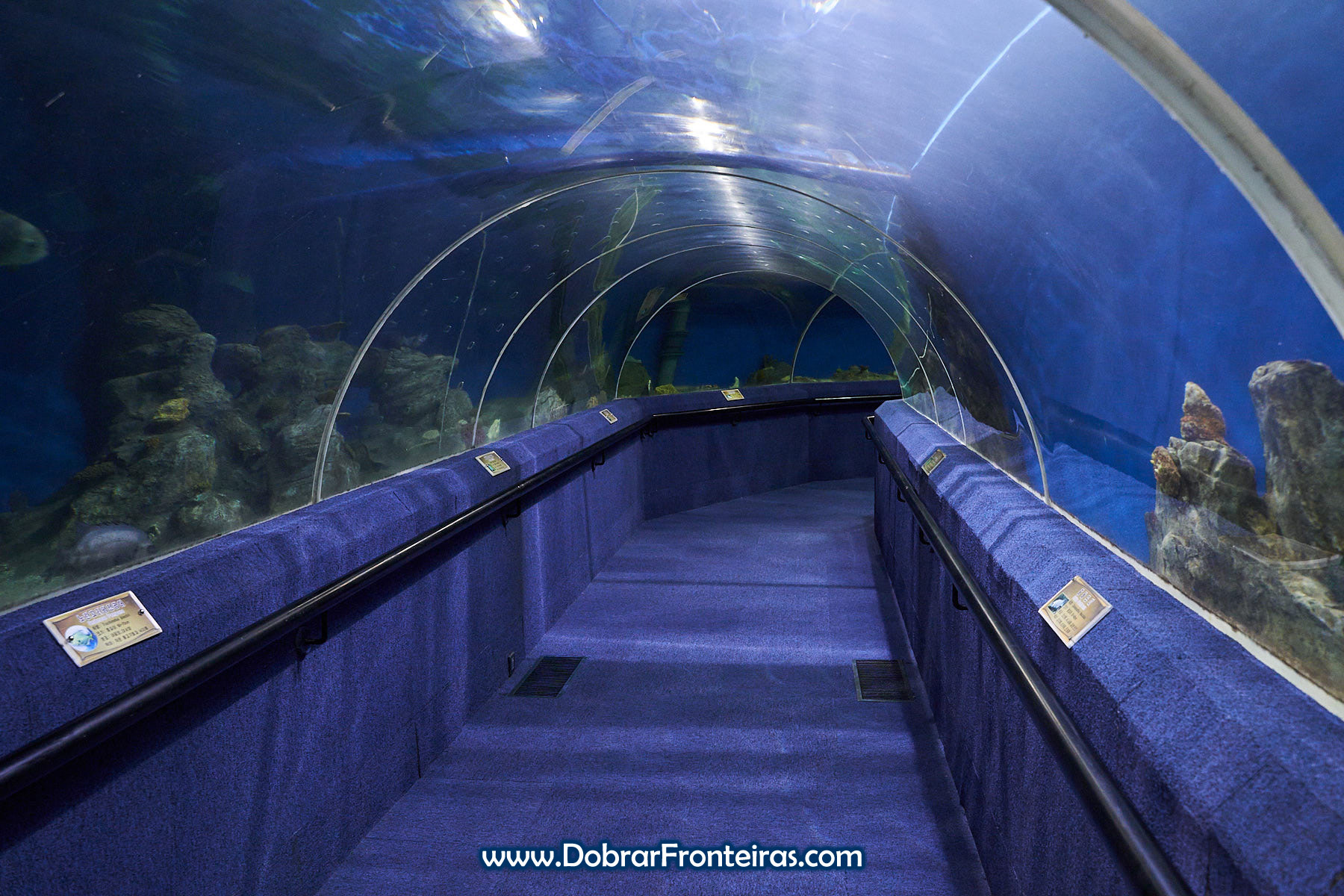 túnel em aquário