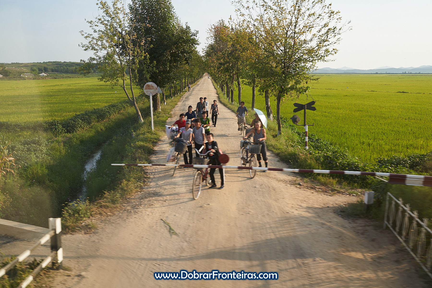 Pessoas com bicicleta em passagem de nível junto a campos de arroz na Coreia do Norte