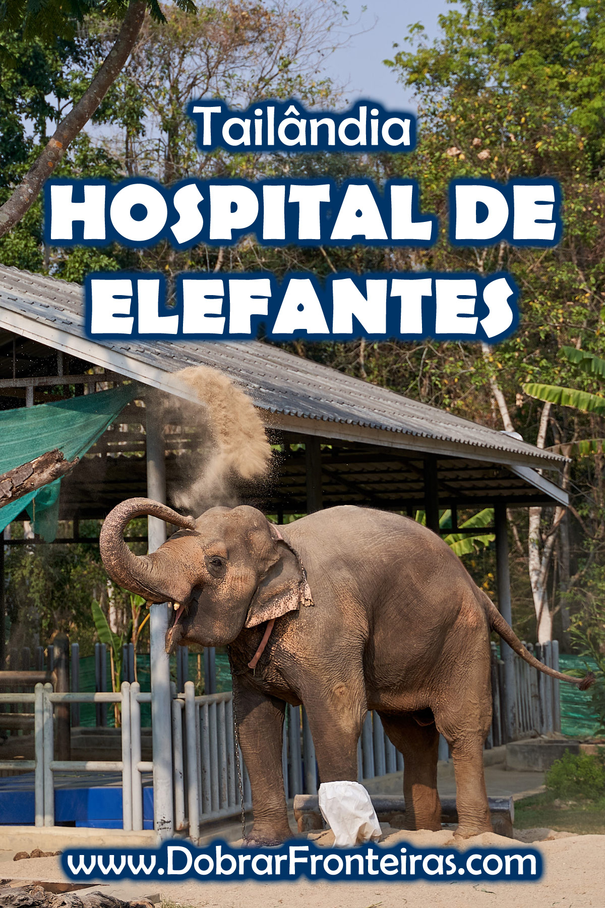 Hospital de elefantes FAE na Tailândia