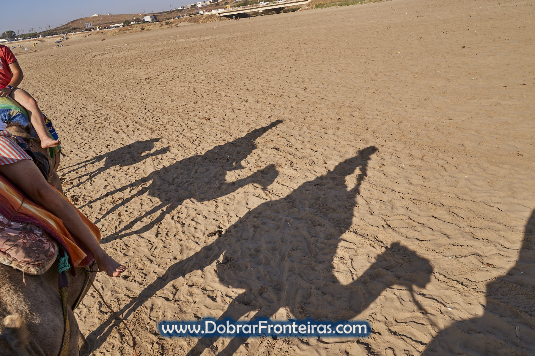 Sombra de camelos em praia de Marrocos